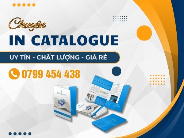 Hỗ trợ dịch vụ thiết kế và in catalogue mới nhất tại Cẩm Lệ Đà Nẵng