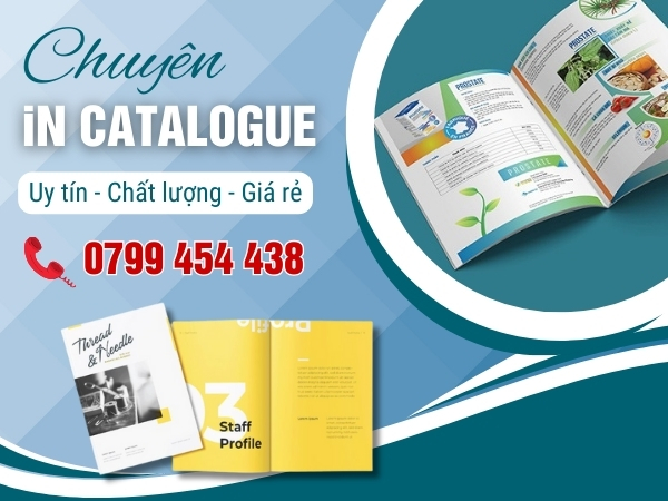 Hỗ trợ thiết kế theo yêu cầu và in catalogue tại Quảng Trị